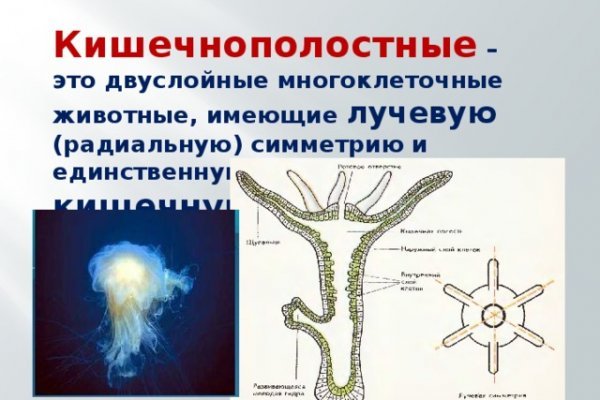 Кракен шоп зеркало