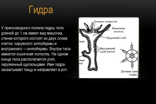 Ссылка на кракена для тора