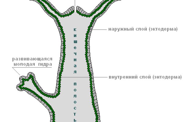 Сайт кракен что это такое